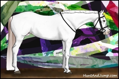 Horse Color:White Spotted Red Roan Blanket 