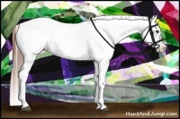 Horse Color:White Spotted Red Roan Appaloosa