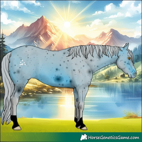 Horse Color:ERROR: UNKNOWN ANOMALY