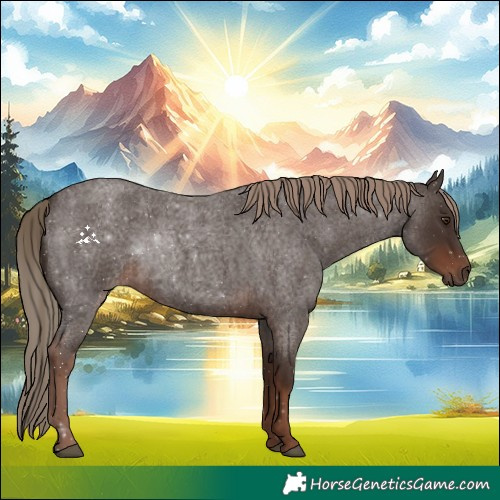 Horse Color:Liver Red Roan 