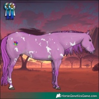 Horse Color:Watercolor White Spotted Liver Red Dun 