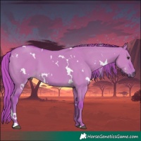 Horse Color:Watercolor White Spotted Liver Red Dun 