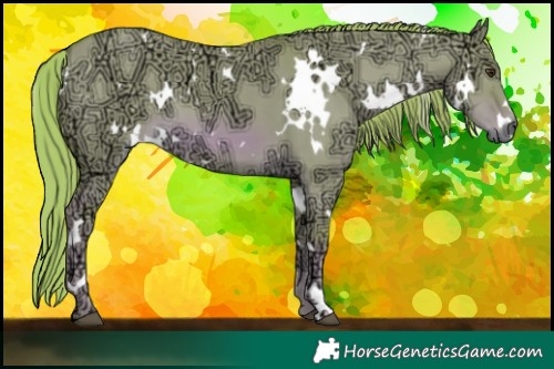 Horse Color:Watercolor White Spotted Red Dun Ice