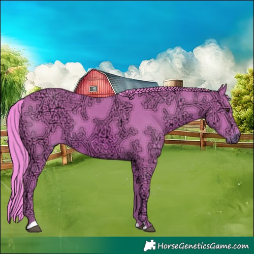 Horse Color:Watercolor Chestnut Ice