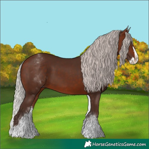 Horse Color:White Spotted Silver Brown Splash 