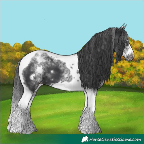 Horse Color:White Spotted Black Splash Tobiano Frame Blanket