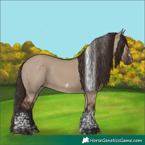 Horse Color:Liver Red Dun Tobiano Frame