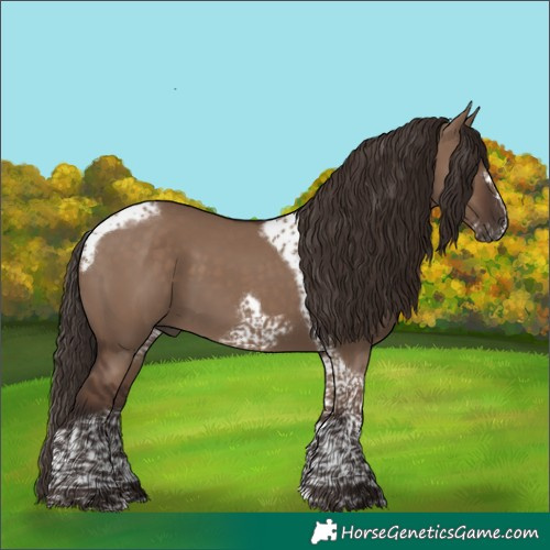 Horse Color:Liver Red Dun Tobiano Frame 
