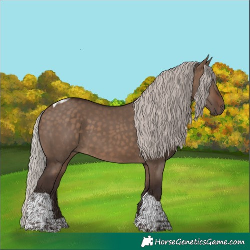 Horse Color:Silver Brown Dun Tobiano