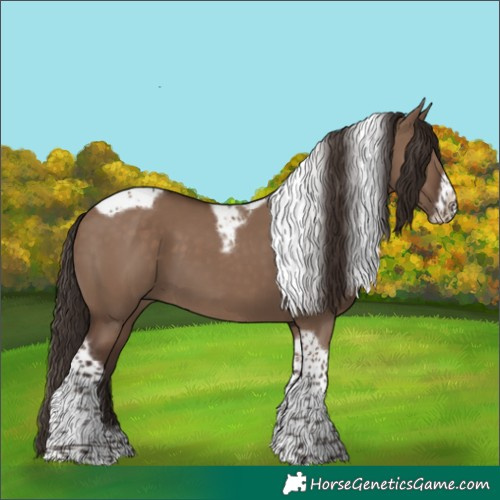 Horse Color:Liver Red Dun Tobiano Frame