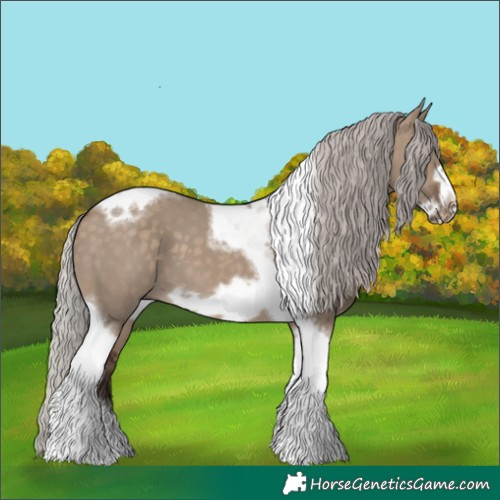 Horse Color:Silver Brown Dun Tobiano Frame 