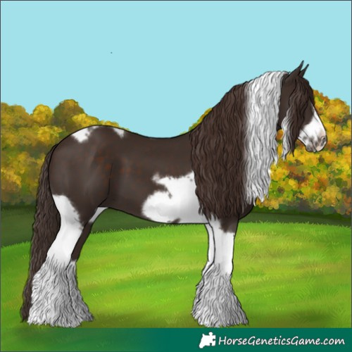 Horse Color:Liver Chestnut Tobiano Frame