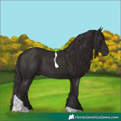 Horse Color:Liver Chestnut Tobiano Rabicano