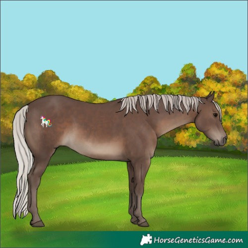 Horse Color:Silver Black