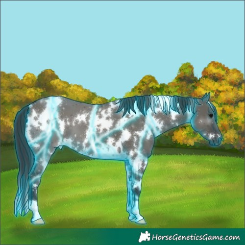 Horse Color:Thunderstruck White Spotted Grullo 