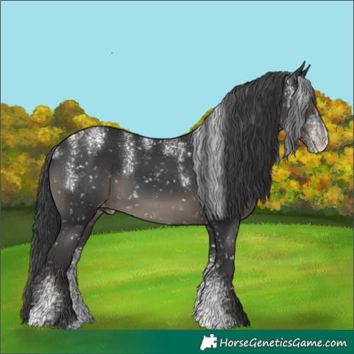 Horse Color:Powder White Black Snowflake Varnish