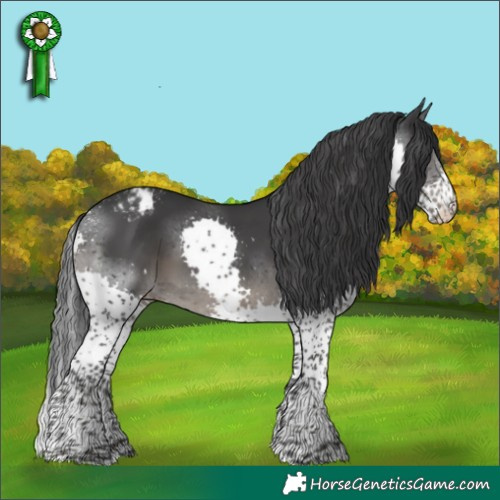 Horse Color:Powder White Black Splash Varnish 