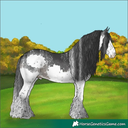 Horse Color:Powder White Platinum Black Splash