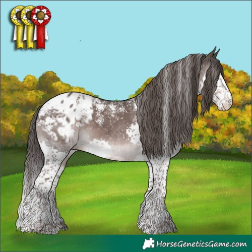 Horse Color:Powder White Platinum Liver Chestnut Splash Blanket 