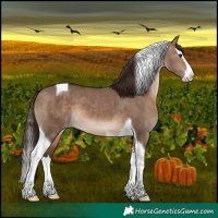 Horse Color:Brown Dun Splash Tobiano Varnish