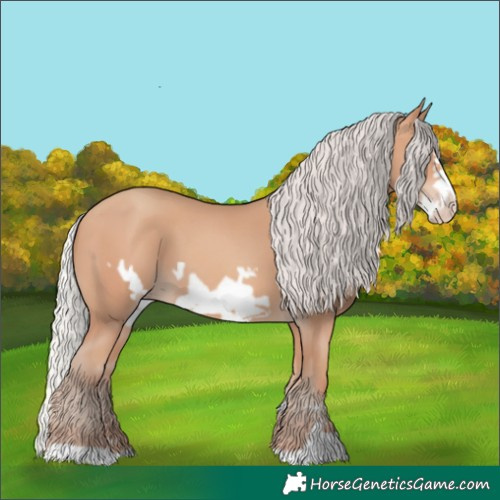 Horse Color:Silver Amber Champagne Frame