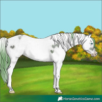 Horse Color:Watercolor Brown Ice Onyx Splash Tobiano