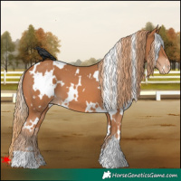 Horse Color:White Spotted Chestnut Varnish