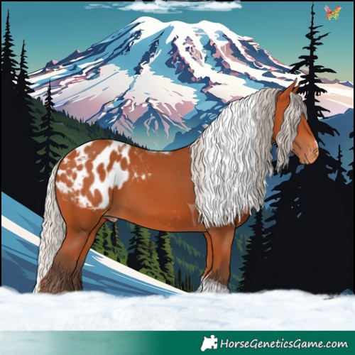 Horse Color:Silver Bay Tobiano Appaloosa 