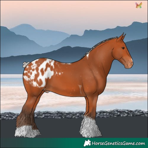Horse Color:Silver Bay Tobiano Blanket 