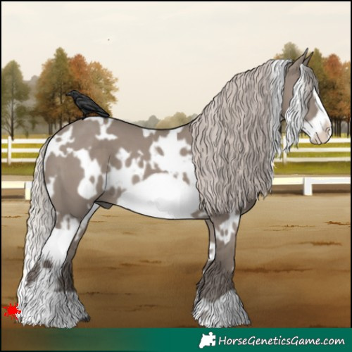 Horse Color:White Spotted Silver Grullo Frame 