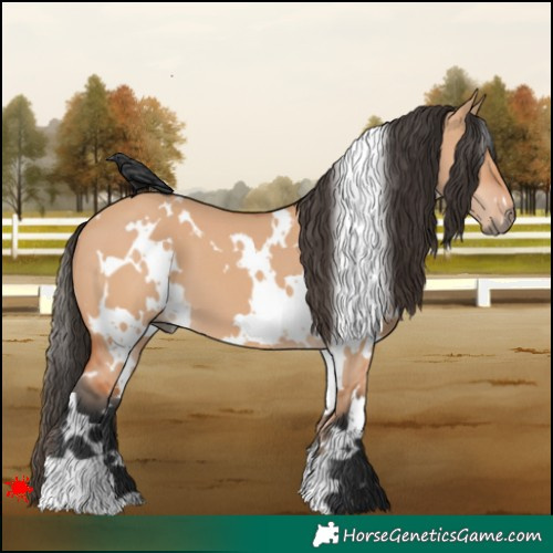 Horse Color:White Spotted Bay Dun 