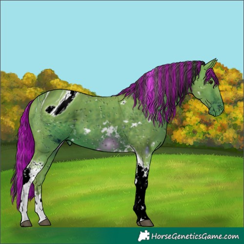 Horse Color:Unknown