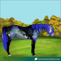 Horse Color:Void Watercolor Blue Onyx Tobiano