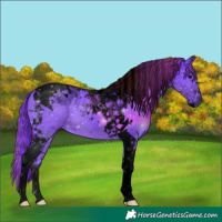 Horse Color:Void Painted Watercolor Black Tobiano 