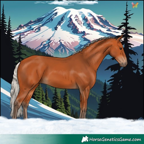 Horse Color:Silver Bay