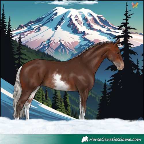 Horse Color:White Spotted Silver Bay Tobiano Varnish 