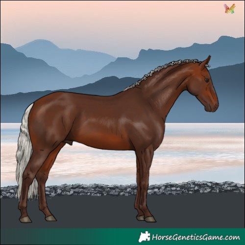 Horse Color:Silver Bay 