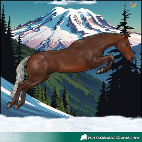 Horse Color:Silver Bay 