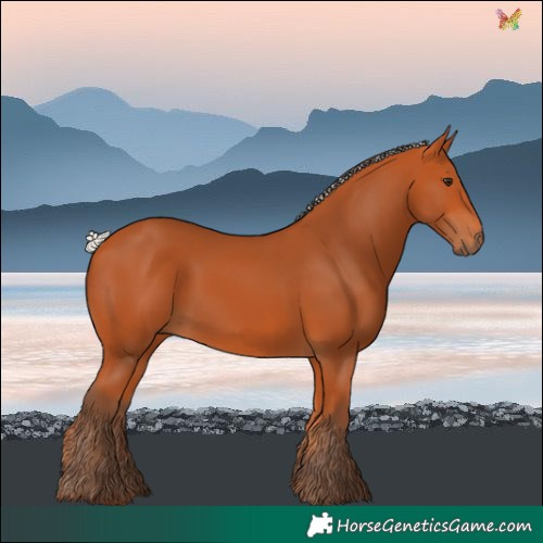 Horse Color:Silver Bay
