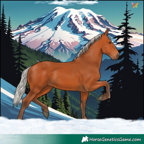 Horse Color:Silver Bay 