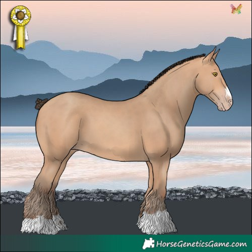 Horse Color:Amber Champagne 