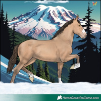 Horse Color:Amber Champagne 