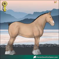 Horse Color:Amber Champagne 