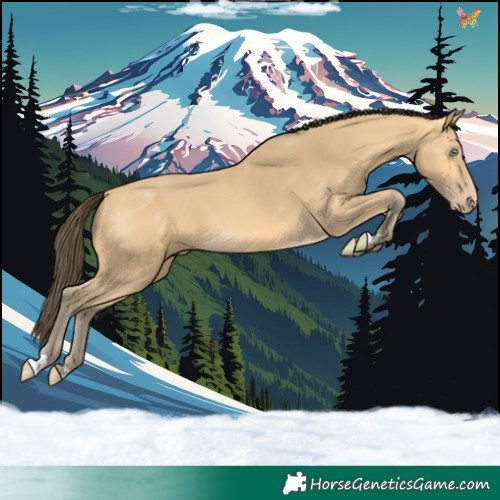 Horse Color:Amber Cream Champagne