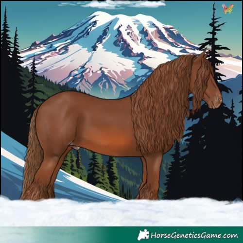 Horse Color:Chestnut Varnish