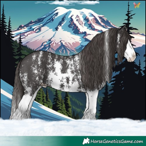 Horse Color:Smoky Black Sabino Splash Appaloosa 