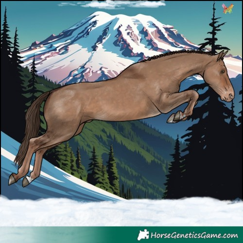 Horse Color:Liver Red Dun Varnish Rabicano 