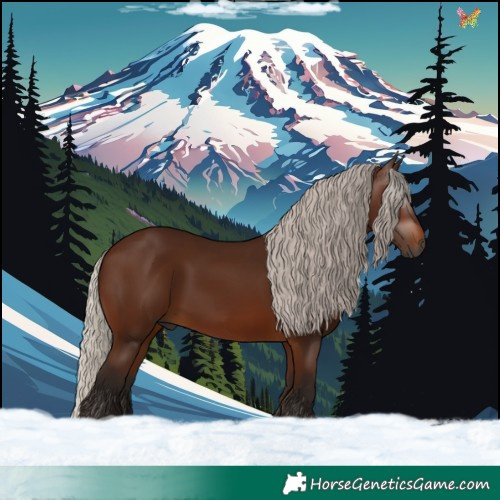 Horse Color:Gray Silver Bay 