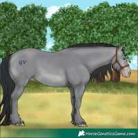 Horse Color:Sable Champagne Chinchilla