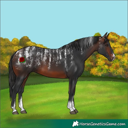 Horse Color:Powder White Brown 